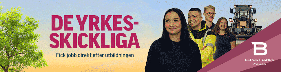 BeUt-Stockholm-OH-22jan2025-Adroll-970×250 Bergstrands gymnasiium